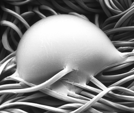 Double Dot Technology, microscopic detail